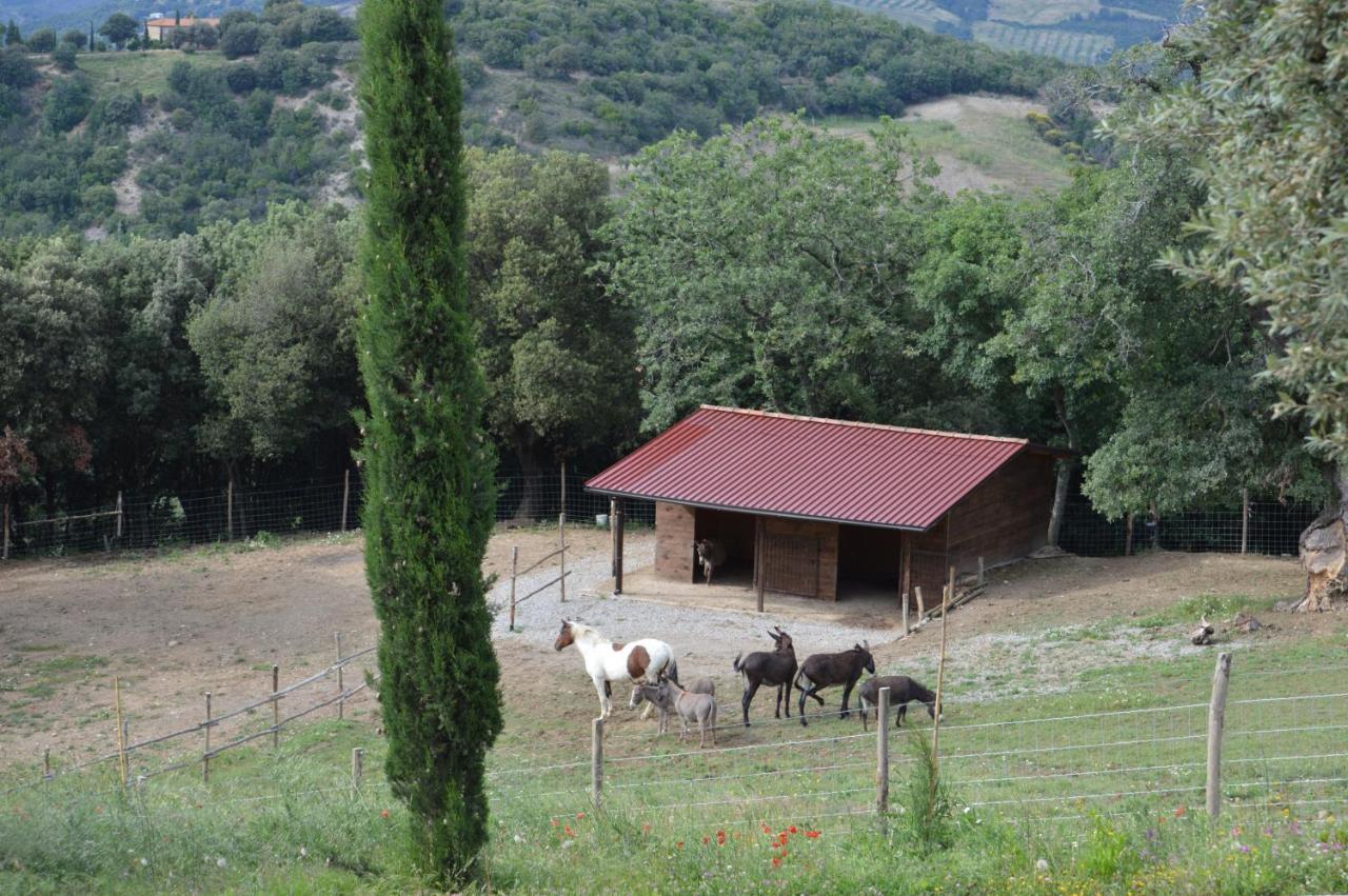 Bellavista Villa Seggiano Eksteriør bilde