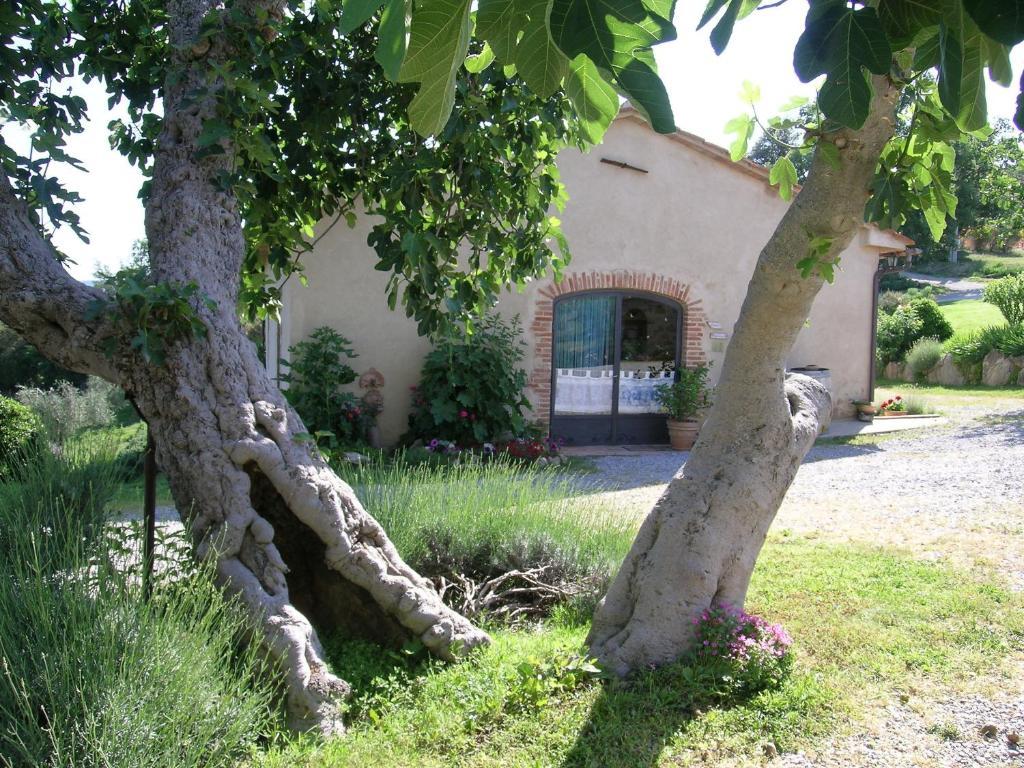 Bellavista Villa Seggiano Eksteriør bilde
